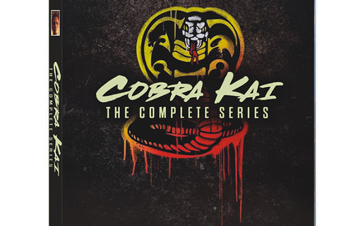 Cobra kai the - kai:, series